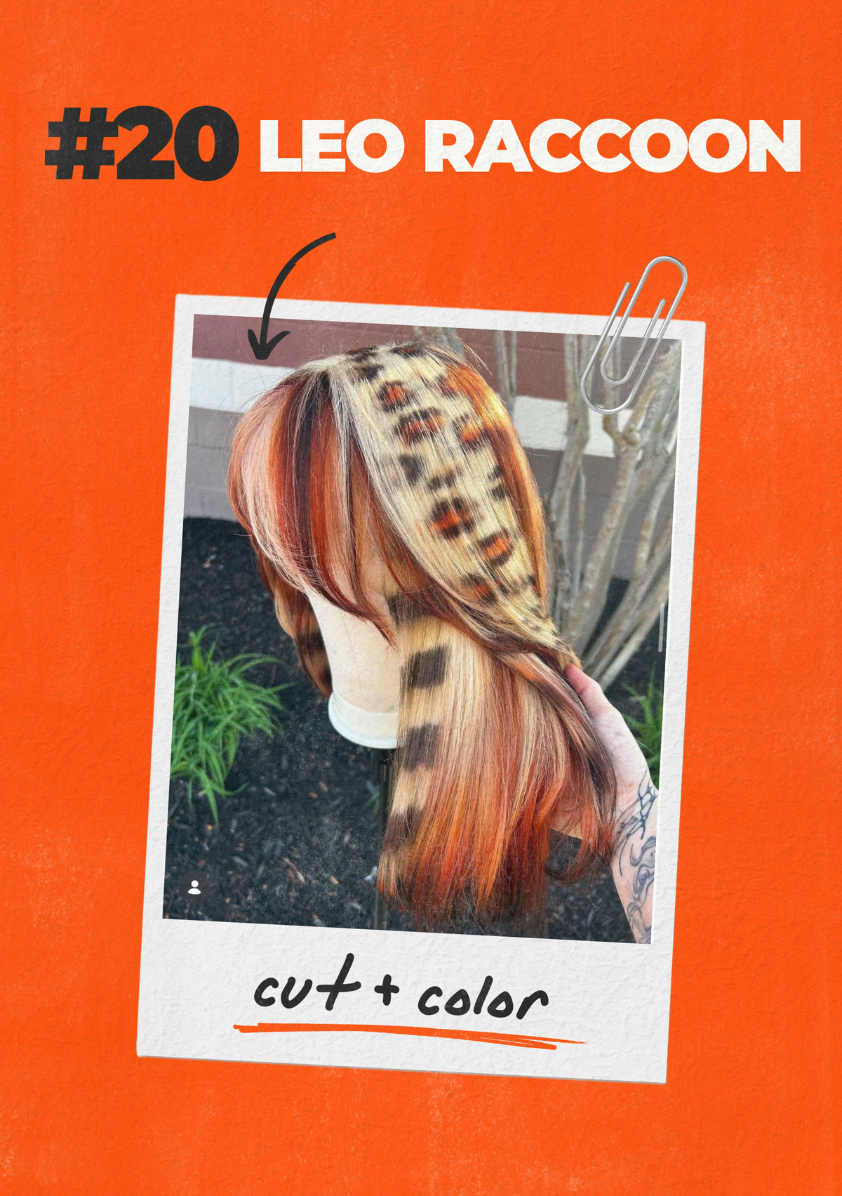 Leo Raccoon Wannado Hair-Inspo